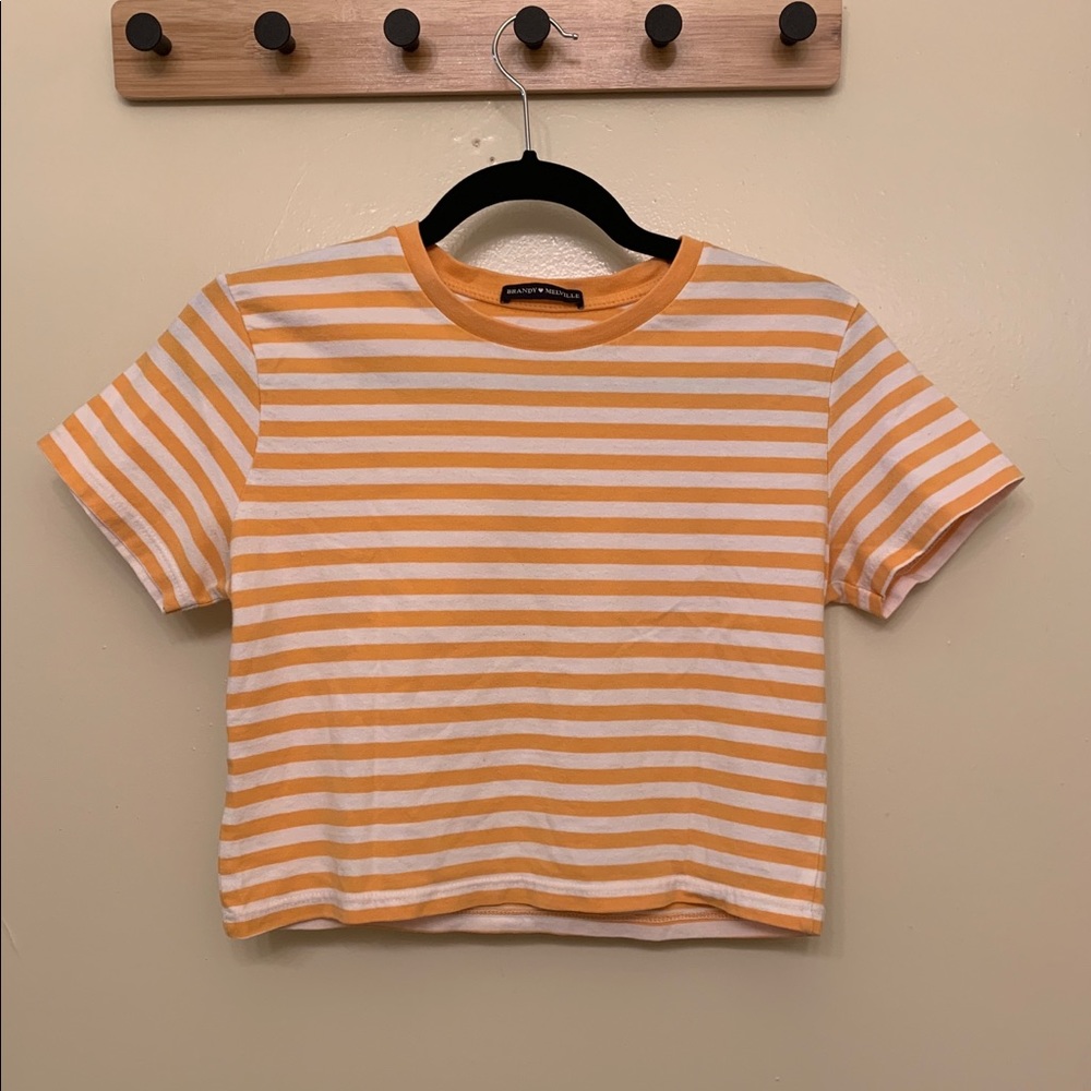 Brandy Melville Striped Croptop